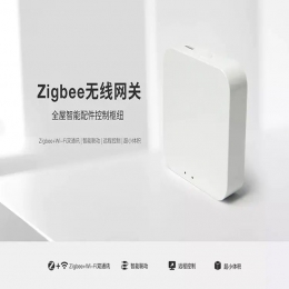 智能網(wǎng)關(guān)(無線) TWG-W01